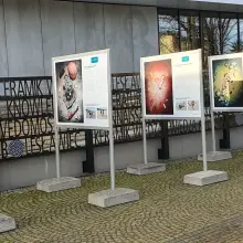 Zobacz zdjęcie: „Mniej plastiku”. Wystawa przed bolesławieckim Centrum Wiedzy