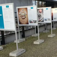 Zobacz zdjęcie: „Mniej plastiku”. Wystawa przed bolesławieckim Centrum Wiedzy