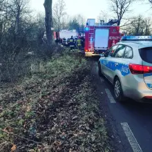 Zobacz zdjęcie: Zderzenie Volkswagena z drzewem