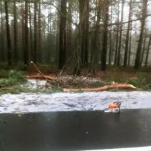Zobacz zdjęcie: Akcja straży pożarnej między Krzyżową a Gromadką (gmina Gromadka, powiat bolesławiecki)