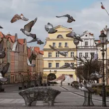 Zobacz zdjęcie: Nagrodzone zdjęcia w kalendarzu miejskim