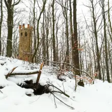 Zobacz zdjęcie: Zimowy las przy ulicy Piastów w Bolesławcu