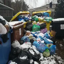 Zobacz zdjęcie: Przesypujące się śmietniki w Gminie Warta Bolesławiecka