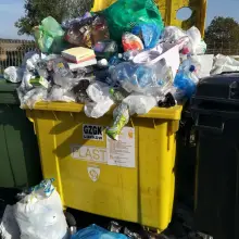 Zobacz zdjęcie: Przesypujące się śmietniki w Gminie Warta Bolesławiecka