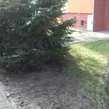 Zobacz zdjęcie: Działania Patrolu Saperskiego Bolesławiec