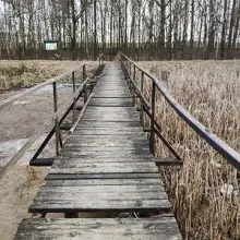 Zobacz zdjęcie: Ogródek dendrologiczny „Uroczysko Piekiełko” w 2021 roku