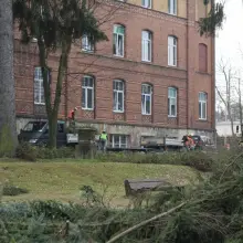 Zobacz zdjęcie: Wycinka drzew przy Szpitalu Powiatowym