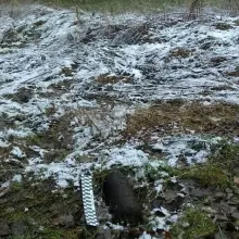 Zobacz zdjęcie: Akcja Patrolu Saperskiego Bolesławiec w powiecie lubańskim