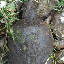 Zobacz zdjęcie: Akcja Patrolu Saperskiego Bolesławiec w powiecie lubańskim