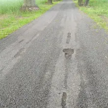 Zobacz zdjęcie: Droga między Kraśnikiem a Kruszynem