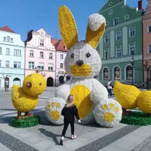 Zobacz zdjęcie: Ozdoby wielkanocne na bolesławieckim rynku