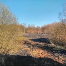 Zobacz zdjęcie: Pożar nieużytków koło Wierzbowej