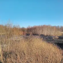 Zobacz zdjęcie: Pożar nieużytków koło Wierzbowej