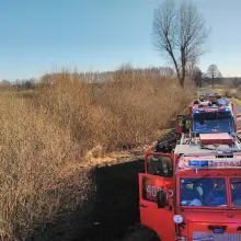Zobacz zdjęcie: Pożar nieużytków koło Wierzbowej