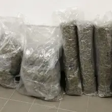 Zobacz zdjęcie: Działania KAS