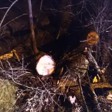 Zobacz zdjęcie: Akcja straży pożarnej w gminie Gromadka