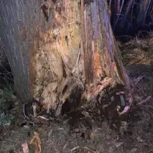 Zobacz zdjęcie: Wypadek w powiecie lwóweckim