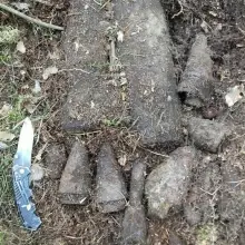 Zobacz zdjęcie: Działania saperów w Lubuskiem