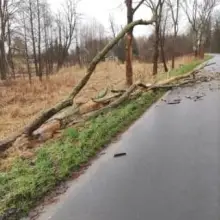 Zobacz zdjęcie: Działania straży pożarnej w gminie Gromadka