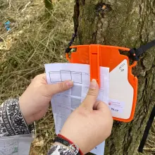 Zobacz zdjęcie: Harcerze biegali na orientację, znamy zwycięzców rywalizacji