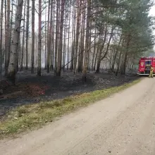 Zobacz zdjęcie: Pożar w lesie koło Wierzbowej