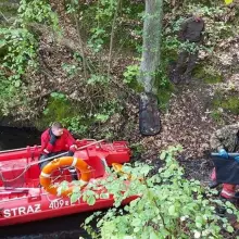 Zobacz zdjęcie: Działania leśników i straży pożarnej