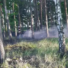 Zobacz zdjęcie: Działania straży pożarnej przy A4