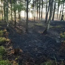 Zobacz zdjęcie: Działania straży pożarnej przy A4