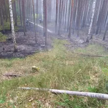 Zobacz zdjęcie: Działania strażaków z OSP Stary Węgliniec