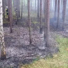 Zobacz zdjęcie: Działania strażaków z OSP Stary Węgliniec