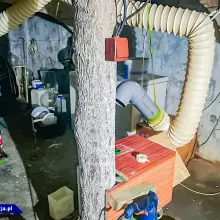 Zobacz zdjęcie: Działania CBŚP