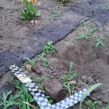 Zobacz zdjęcie: Działania Patrolu Saperskiego Bolesławiec