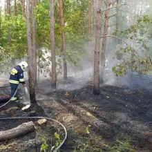 Zobacz zdjęcie: Akcja straży pożarnej w Osłej