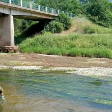 Zobacz zdjęcie: Akcja służb koło Świętoszowa
