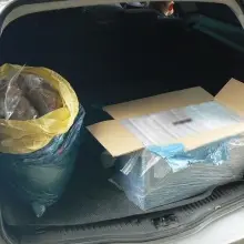 Zobacz zdjęcie: Działania SG i policji
