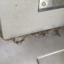 Zobacz zdjęcie: Brud na bankomacie w Nowogrodźcu