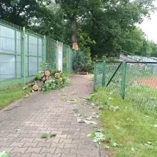 Zobacz zdjęcie: Duży konar spadł na ogrodzenie stadionu