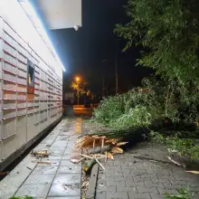 Zobacz zdjęcie: Efekty nawałnicy w powiecie bolesławieckim