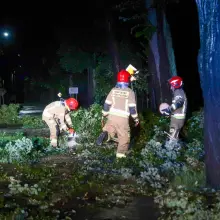 Zobacz zdjęcie: Efekty nawałnicy w powiecie bolesławieckim