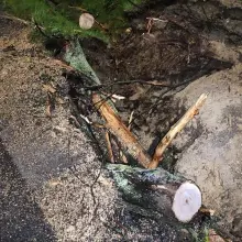 Zobacz zdjęcie: Działania OSP Gromadka