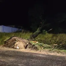 Zobacz zdjęcie: Działania OSP Gromadka