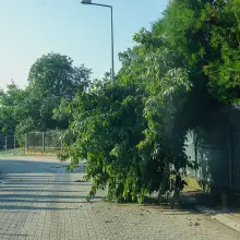 Zobacz zdjęcie: Usuwanie skutków nawałnicy w Bolesławcu
