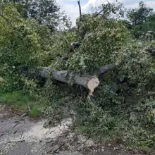 Zobacz zdjęcie: Działania strażaków po burzowym armegedonie