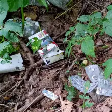 Zobacz zdjęcie: Śmieci w lesie przy alei Tysiąclecia