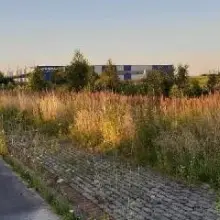Zobacz zdjęcie: Trawa przy ulicy Ekonomicznej w Bolesławcu