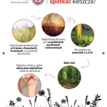Zobacz zdjęcie: Prezentacja Ministerstwa Zdrowia dotycząca kleszczy