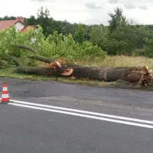 Zobacz zdjęcie: Ciężarówka zahaczyła o drzewo