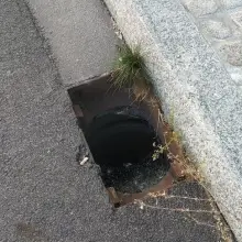 Zobacz zdjęcie: Zdjęcia podesłane 7 września