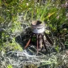 Zobacz zdjęcie: Akcja Patrolu Saperskiego Bolesławiec na wrzosowisku w powiecie bolesławieckim i lubańskim