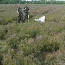 Zobacz zdjęcie: Akcja Patrolu Saperskiego Bolesławiec na wrzosowisku w powiecie bolesławieckim i lubańskim